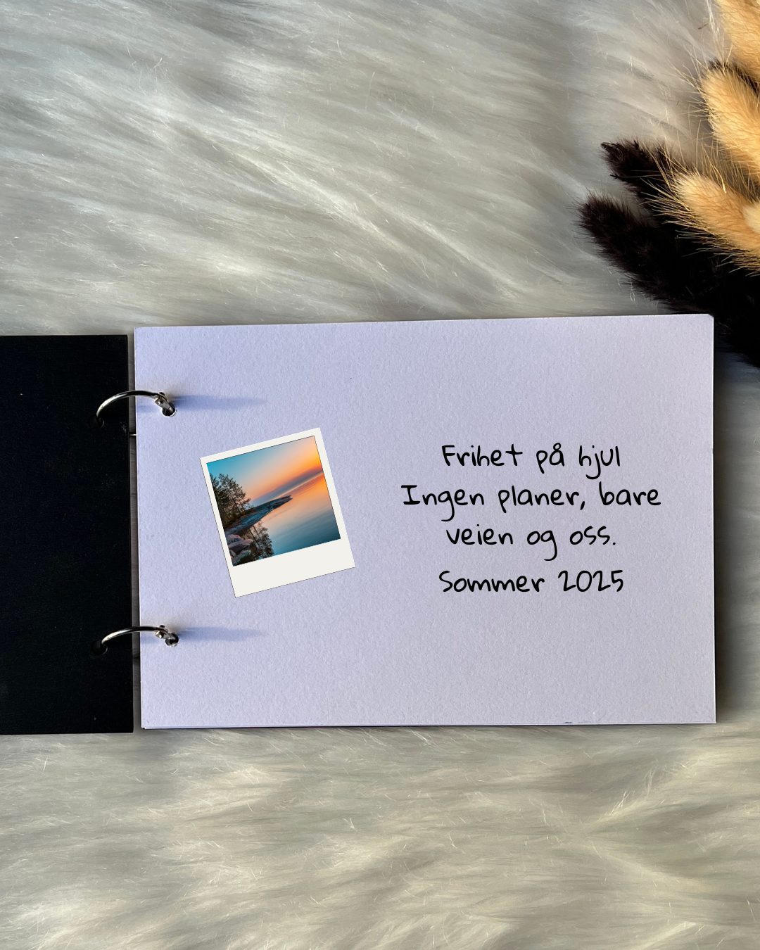 Bobilbok (d3) KK FAMILY ART